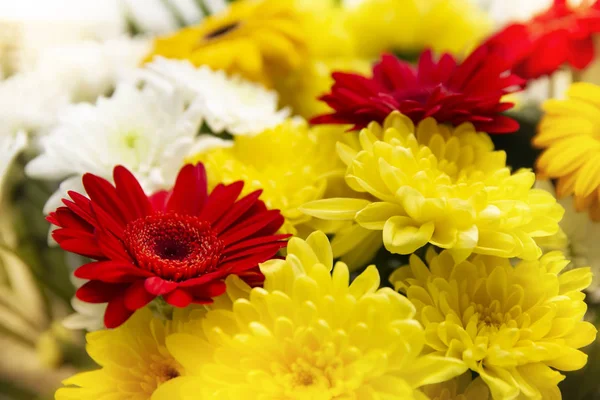 Lindo Brilhante Buquê Vermelho Branco Amarelo Flores Primavera Close Fundo — Fotografia de Stock