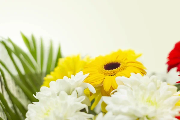 Beautiful Bright Bouquet Red White Yellow Spring Flowers Close White — Stock Photo, Image