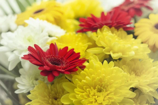 Beautiful Bright Bouquet Red White Yellow Spring Flowers Close White — Stock Photo, Image