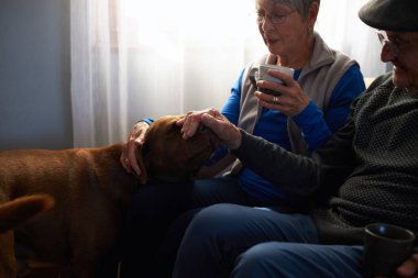 Son sınıf çifti evcil köpeğini okşayan koltukta oturuyor.
