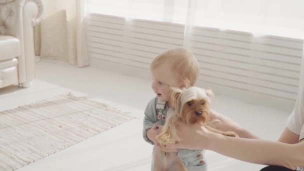 Маленька мила дівчинка пов'язує собаку з нею далі. Щаслива сім'я. Повільний рух — стокове відео