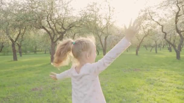 Mooie jonge dame duizelig in het park. Prachtige natuur. Slow motion — Stockvideo