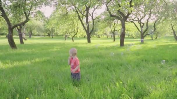 Il bambino guarda le bolle di sapone nel parco a mano dei genitori. slow-mo — Video Stock