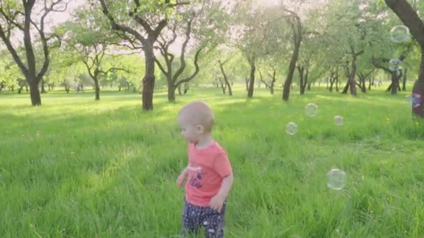 Kleine jongen kijkt zeepbellen in park door ouders hand. slow-mo — Stockvideo