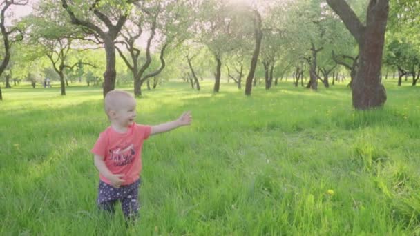 Kleiner Junge betrachtet Seifenblasen im Park von der Hand der Eltern. Zeitlupe — Stockvideo