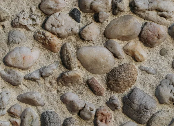 Textuur Van Grote Gladde Steentjes Die Uitsteken Uit Een Cementachtergrond — Stockfoto