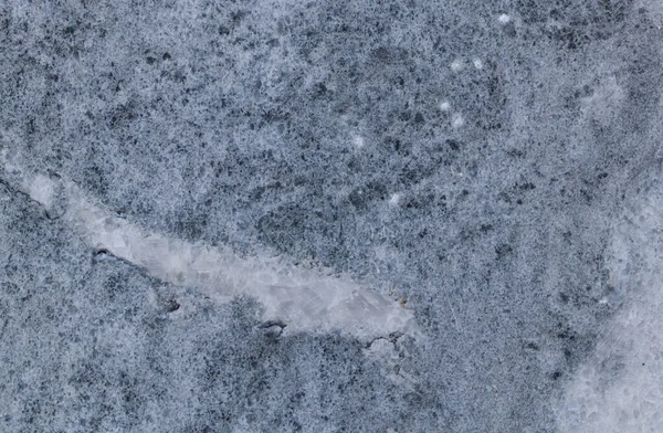 Bessen Een Ijzeren Dienblad Blauw Gaas Met Verspreide Aalbessen Van — Stockfoto