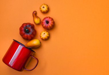 Cadılar bayramı balkabağı turuncu arka planda farklı türde balkabakları kırmızı bir çemberden düştü solda turuncu bir zemin üzerinde yazı için bir yer, düz yakın çekim.