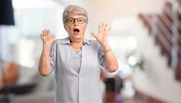 Beautiful Senior Woman Screaming Happy Surprised Offer Promotion Gaping Jumping — Stock Photo, Image