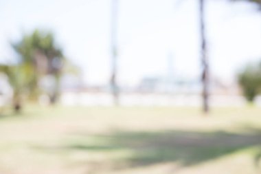 Yaz aylarında bulanık park arka plan