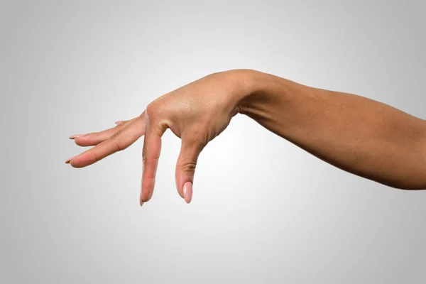 Schattig Vrouwelijke Handen Met Iets — Stockfoto