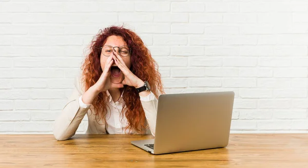 Jovem Ruiva Encaracolado Mulher Trabalhando Com Seu Laptop Gritando Animado — Fotografia de Stock