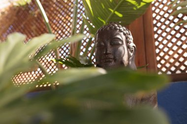 güneşli bir günde bir Buddha figürünün yakın çekim