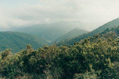 Dağlar bulutlu bir günde yeşilliklerle kaplı..