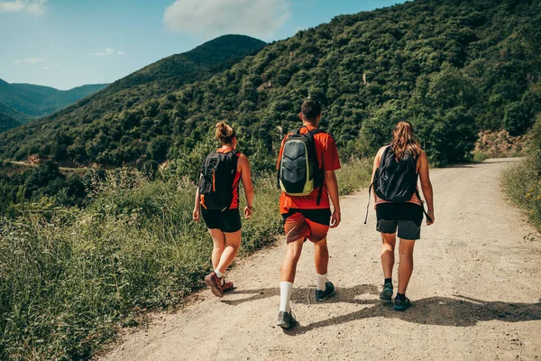 Hikers walking on a mountain trail in nature.