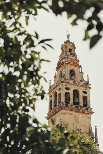 Iglesia Torre Campanario Cubierta Flores Córdoba España — Foto de Stock