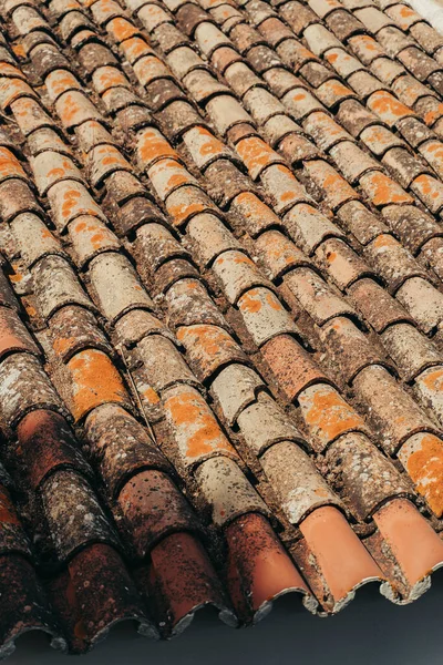 Weathered brown tile roof with moss and plants.