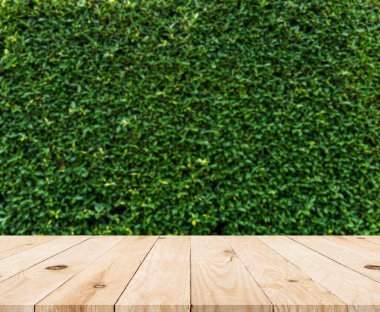 Bulanık yeşil çimen duvarlı boş tahta masa