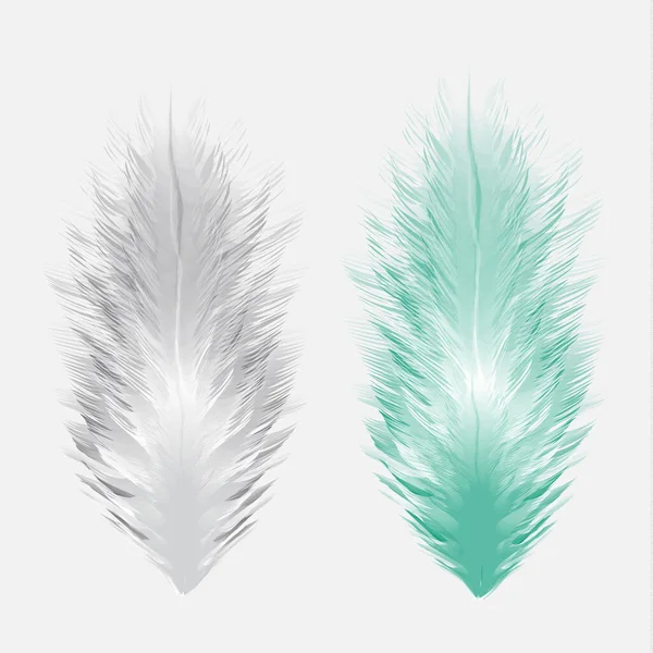 Belles Petites Grandes Plumes Oiseaux Réalistes Colorées Isolées Sur Fond — Image vectorielle