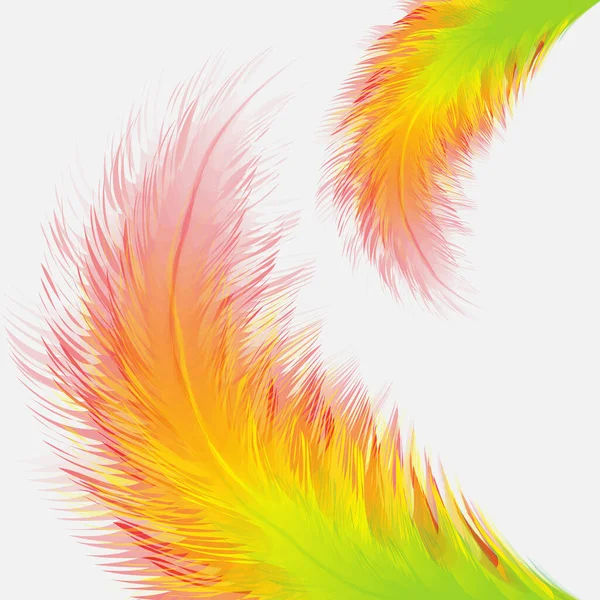 Prachtige Kleurrijke Kleine Grote Realistische Vogelveren Geïsoleerd Witte Achtergrond Vectorillustratie — Stockvector