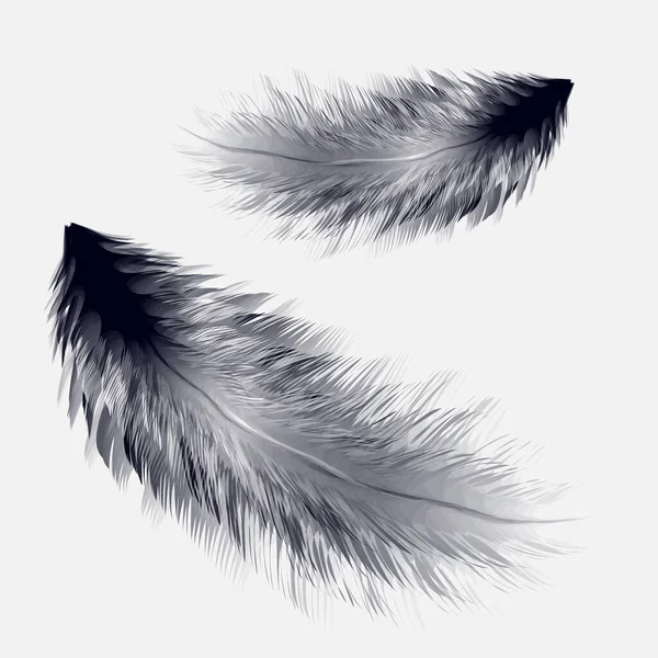 Векторна Ілюстрація Реалістичного Пташиного Перо — стоковий вектор