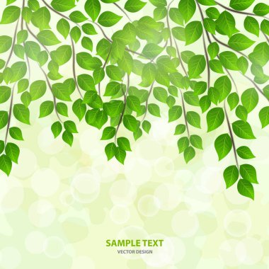 Yeşil yapraklardan gelen güneş ışığı olan orman arka planı. Taze bahar yaprakları, ışıltılar ve güneş ışınlarıyla yeşil arka plan. Bahar şafağında genç yapraklar. Yakın plan. - Vektör grafikleri