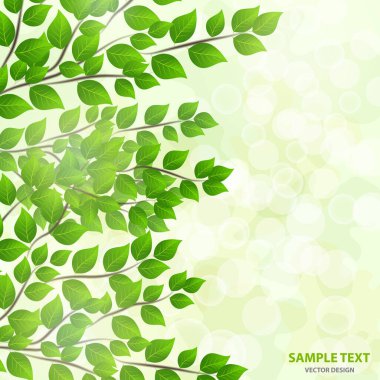 Yeşil yapraklardan gelen güneş ışığı olan orman arka planı. Taze bahar yaprakları, ışıltılar ve güneş ışınlarıyla yeşil arka plan. Bahar şafağında genç yapraklar. Yakın plan. - Vektör grafikleri