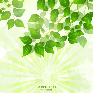Yeşil yapraklardan gelen güneş ışığı olan orman arka planı. Taze bahar yaprakları, ışıltılar ve güneş ışınlarıyla yeşil arka plan. Bahar şafağında genç yapraklar. Yakın plan. - Vektör grafikleri