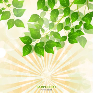 Yeşil yapraklardan gelen güneş ışığı olan orman arka planı. Taze bahar yaprakları, ışıltılar ve güneş ışınlarıyla yeşil arka plan. Bahar şafağında genç yapraklar. Yakın plan. - Vektör grafikleri