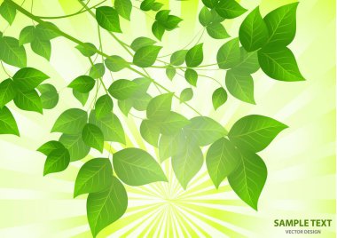 Yeşil yapraklardan gelen güneş ışığı olan orman arka planı. Taze bahar yaprakları, ışıltılar ve güneş ışınlarıyla yeşil arka plan. Bahar şafağında genç yapraklar. Yakın plan. - Vektör grafikleri