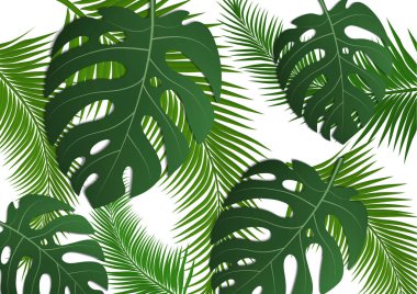 Tropik parlak broşür, canavar yapraklı ve palmiye ağaçlı broşür. Egzotik tropikal baskı. Egzotik tarzda bir partiye davetiye. Vektör illüstrasyonu.