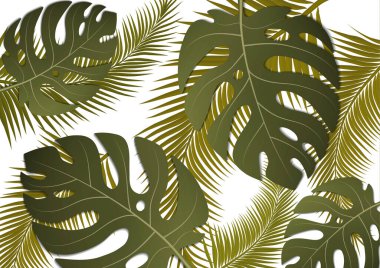 Tropik parlak broşür, canavar yapraklı ve palmiye ağaçlı broşür. Egzotik tropikal baskı. Egzotik tarzda bir partiye davetiye. Vektör illüstrasyonu.