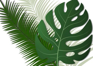 Tropik parlak broşür, canavar yapraklı ve palmiye ağaçlı broşür. Egzotik tropikal baskı. Egzotik tarzda bir partiye davetiye. Vektör illüstrasyonu.