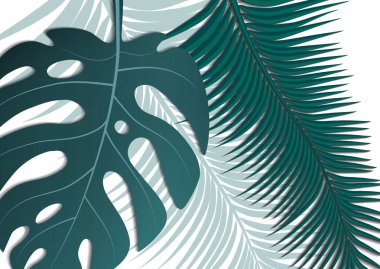 Tropik parlak broşür, canavar yapraklı ve palmiye ağaçlı broşür. Egzotik tropikal baskı. Egzotik tarzda bir partiye davetiye. Vektör illüstrasyonu.