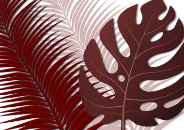 Tropik parlak broşür, canavar yapraklı ve palmiye ağaçlı broşür. Egzotik tropikal baskı. Egzotik tarzda bir partiye davetiye. Vektör illüstrasyonu.