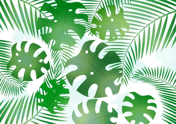 Fényes Trópusi Háttér Szörny Levelek Pálma Ágak Design Meghívás Egy — Stock Vector