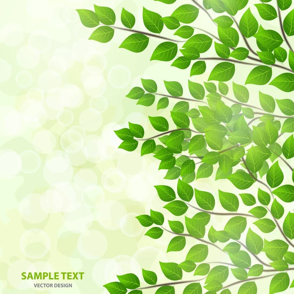 Yeşil yapraklardan gelen güneş ışığı olan orman arka planı. Taze bahar yaprakları, ışıltılar ve güneş ışınlarıyla yeşil arka plan. Bahar şafağında genç yapraklar. Yakın plan. - Vektör grafikleri