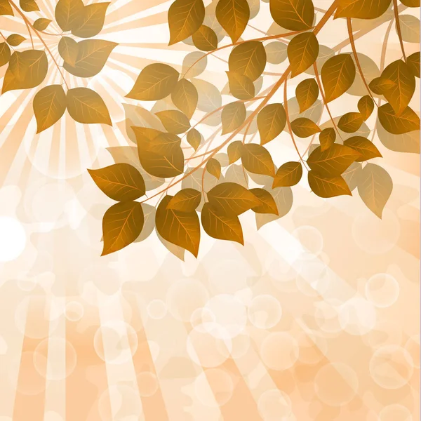 赤の葉を持つ秋の木 太陽光線 グレア 秋の風景 ベクターグラフィックス — ストックベクタ