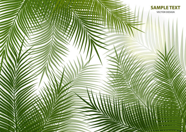 Тропический фон. Настоящие пальмовые листья. Экзотическая красота для путешествий Дизайн, продвижение и маркетинг. Векторная иллюстрация - Векторная графика