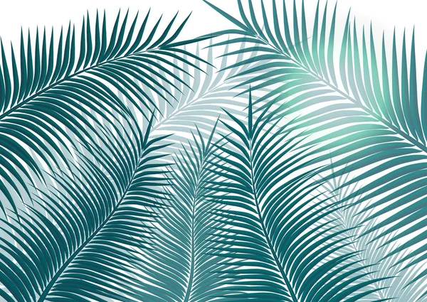 熱帯の背景 現実的なヤシの木の葉 旅行デザイン プロモーションとマーケティングのためのエキゾチックな美しさ ベクターイラスト ベクトルグラフィック — ストックベクタ