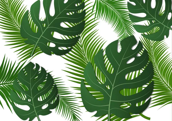 Flyer Tropical Lumineux Dépliant Avec Des Feuilles Monstre Des Palmiers — Image vectorielle