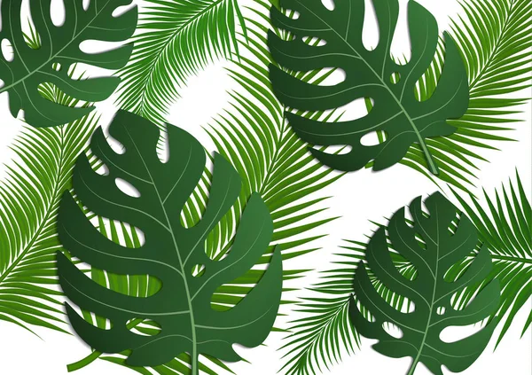 Flyer Tropical Lumineux Dépliant Avec Des Feuilles Monstre Des Palmiers — Image vectorielle