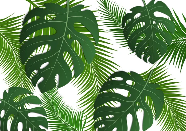 Tropik parlak broşür, canavar yapraklı ve palmiye ağaçlı broşür. Egzotik tropikal baskı. Egzotik tarzda bir partiye davetiye. Vektör illüstrasyonu.