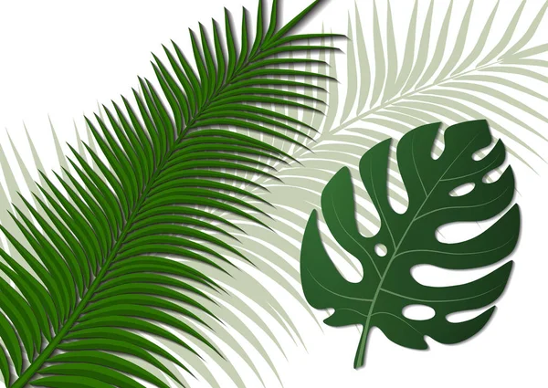 Tropik Parlak Broşür Canavar Yapraklı Palmiye Ağaçlı Broşür Egzotik Tropikal — Stok Vektör