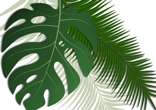 Тропічні Яскраві Листівки Листівки Листя Монстрів Пальми Екзотичний Тропічний Трендовий — стоковий вектор