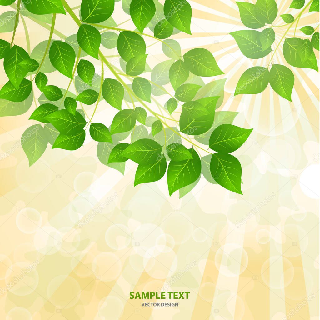 Forest background with sunlight coming through the green leaves. Green background with fresh spring foliage, sparkles and sunbeams. Young leaves in the rays of spring dawn. Close-up. - Vector graphics