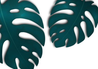 Beyaz arka planda büyük mavi canavar yaprakları. Tasarımın için yaratıcı bir şablon. Vektör illüstrasyonu