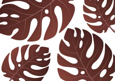 Beyaz arka planda tropik bir canavar bitkisinin büyük yeşil yaprakları. Tasarımınız için vektör illüstrasyonu.