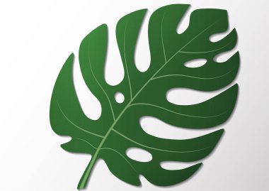 Beyaz arka planda parlak yeşil yaprak canavarları. Tasarımınız için vektör illüstrasyonu.