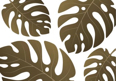 Beyaz arka planda tropik bir canavar bitkisinin büyük yeşil yaprakları. Tasarımınız için vektör illüstrasyonu.